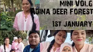 Adina deer park || adina forest || 1st january ||  videos || Mini Vlogs|| #adina #deerpark#minivlog 