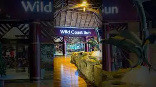 2 Stay At Wild Coast Sun 🌊🎳🍗🍹