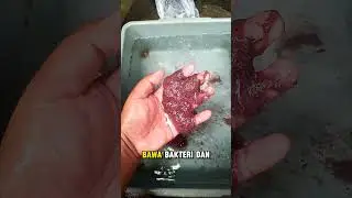 Jangan sampai salah perawatan..! #cacingsutra #pakanalami #ikanhiasairtawar #aquarium #fish #koko