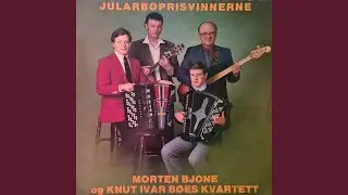 Flickan från Finnskorgarna