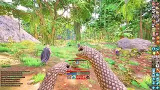 Herz in jungle