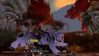 WoW Classic - Прокачка разбойницы часть 38 (53 lvl)