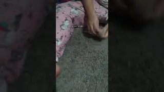peach female rat pup playing ▶️