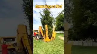 save Tree 🌲 @Amazig machine    #shorts #shortvideo #youtubeshorts