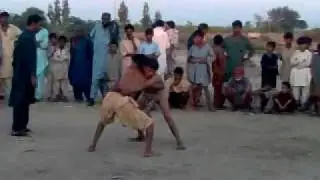 bull fight in Abdullahabad fighter habibullah