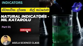 Natural pH Indicator Using Blue Cabbage | Easy Science Experiment ස්වභාවික දර්ශක-නිල් කටරොළු Part 01