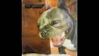 the pillows - The Future is Now x LAST DINOSAUR