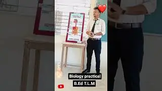#Biology practical  #biologypractical #tlm #life science 🔬 #Respiratory system #Neurones #shorts