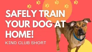 KCS: Learn How to Safely Train Your Dog