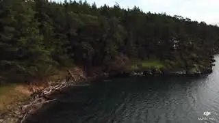 Stuart island