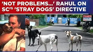 Rahul Gandhi Speaks Up For 'Voiceless Souls', Criticises SC Directive On 'Stray Dogs', Says...