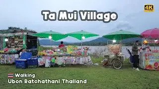 Walking 4K 🇹🇭 Rural Ta Mui village, along the Mekong river, on the border of Thailand and Laos