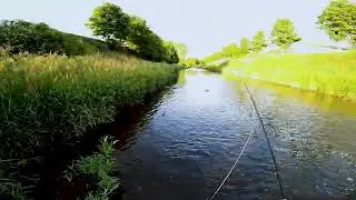 Kurz mal nach Plauen  + Live Bisse auf Forelle