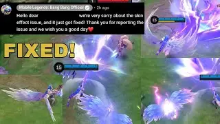 LESLEY ANNUAL STARLIGHT SKIN EFFECTS UPDATE