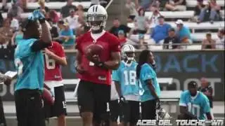 Carolina Panthers Training Camp July 2011 (Video Production Services in Charlotte NC)