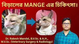 বিড়ালের MANGE এর TREATMENT II বিড়ালের শরীর থেকে FLEA, TICK কিভাবে দূর করবেন?