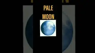 Top 5 Browser #browser#privatebrowser#torbrowser#palemoon#icecat#seamonkey#waterbox#shorts#short#etc