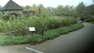 The beautiful way Lewis Ginter Botanical Garden is remembering Jonah Holland