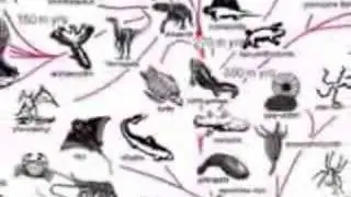 7 -- The Theory of Evolution Made Easy