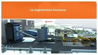 La cogénération biomasse | Veolia