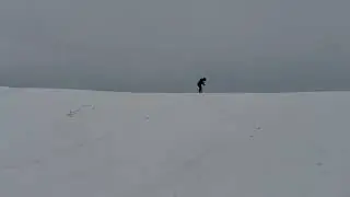 sledheads