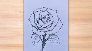 How to draw Rose 🌹 with pencil very easy|flower drawing easy|pencil drawing for beginners|drawing 