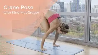 Crane Pose Tutorial with Kino MacGregor