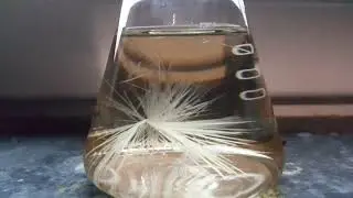Cristallisation en vitesse r&eacute;elle d'une solution super satur&eacute;e d'ac&eacute;tate de sodium.