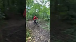 Clyne woods #mtb #downhill