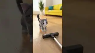 Meow Meow Meow Motion Studio World, AI cat videos#MeowMotion #CatStory #AICats #FunnyCat