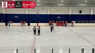 Surrey Falcons U18 A1 @ Seattle Red Hawks U18 A1 (1/2)