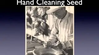 Waller Seed Co history