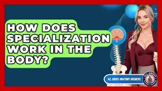 How Does Specialization Work In The Body? - All About Anatomy Answers