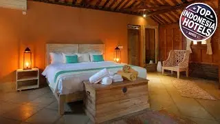 Yoga Searcher Bali | Bali, Indonesia | Hotel Review ⭐