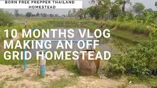 10 Months Vlog Making An Off Grid Homestead In Thailand. Self Reliance