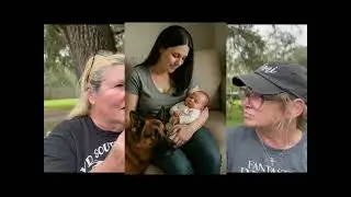When Is the Right Time to Bring a Puppy Home If You Have a Baby? | Southernwind Kennels Advice 🐾
