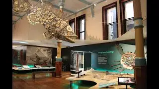 Australian Museum | Short Clip | Discover Aboriginal Experiences | Tourism Australia