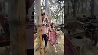 Mutton 🐐cutting 🥩Bazar UP ￼#shorts #short #walivlogwala
