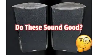 I Bought A Pair Of INSIGNIA Bookshelf Speakers.#hometheater
