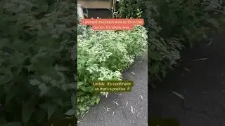 Plant Beginner Mistakes That Killed My Gardening Dreams
