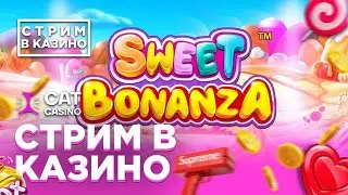 Просто играем в Cat Casino / Бонус на депозит под стримом