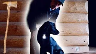 Light Up Dog Collars To See Your Dog At Night