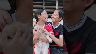 My Hero Brother‼️ Shoes For Puppy💕❤️ | JJaiPan #Shorts