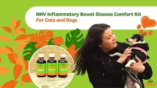 NHV Inflammatory Bowel Disease Comfort Kit For Cats and Dogs