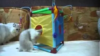 Игровой домик для кошек Flipn Fun Cat Activity Center