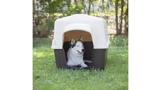 Aspen Pet PetBarn