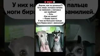 #рекомендации #юмор #смешнойшортс #мем