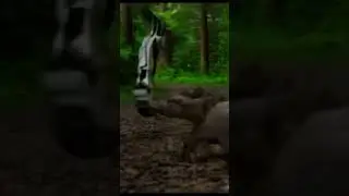#ai #model #bot #beavers#forest