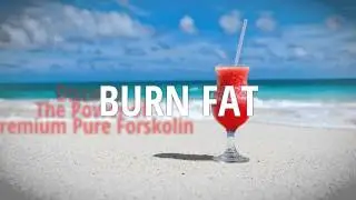 Forskolin Fuel - Pure Coleus Forskohlii Extract Review