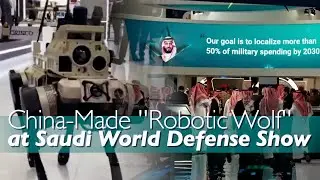 China's 'Robotic Wolf' showcases AI defense innovations at Saudi-held World Defense Show 2026 